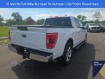 2023 F-150 Thumbnail 13