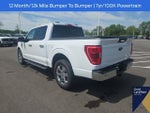 2023 F-150 Thumbnail 19