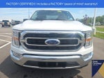 2023 F-150 Thumbnail 4