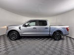 2023 F-150 Thumbnail 5
