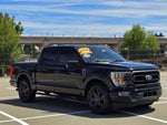 2023 F-150 Thumbnail 6