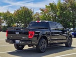 2023 F-150 Thumbnail 8