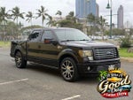 2010 F-150 Thumbnail 1