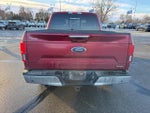 2019 F-150 Thumbnail 7