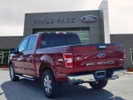 2019 F-150 Thumbnail 5