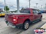 2019 F-150 Thumbnail 6
