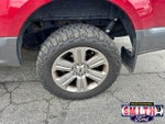 2019 F-150 Thumbnail 10