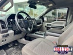 2019 F-150 Thumbnail 12