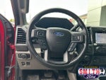 2019 F-150 Thumbnail 14