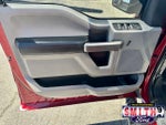 2019 F-150 Thumbnail 17