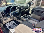 2019 F-150 Thumbnail 18