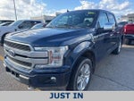 2019 F-150 Thumbnail 1