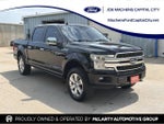 2019 F-150 Thumbnail 1