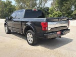 2019 F-150 Thumbnail 7