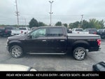 2019 F-150 Thumbnail 8
