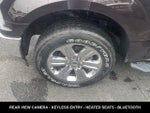 2019 F-150 Thumbnail 29