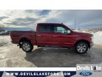2019 F-150 Thumbnail 11