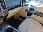 2019 F-150 Thumbnail 21