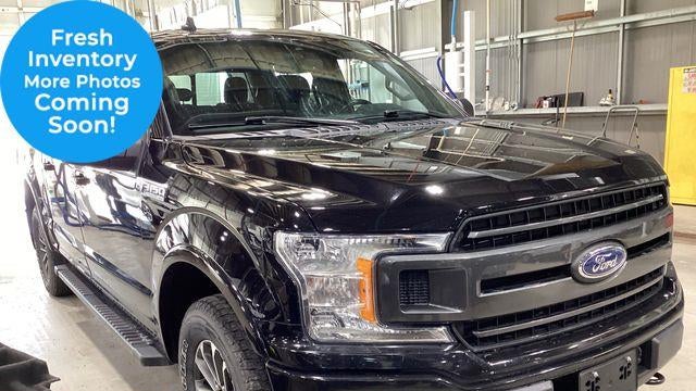 Preowned 2019 Ford F-150 XL for Sale