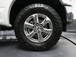 2019 F-150 Thumbnail 17