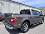 2019 F-150 Thumbnail 5