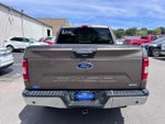 2019 F-150 Thumbnail 6