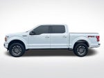 2019 F-150 Thumbnail 2