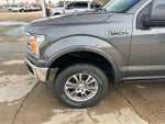 2019 F-150 Thumbnail 4