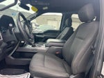 2019 F-150 Thumbnail 4