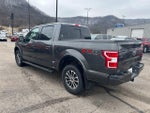 2019 F-150 Thumbnail 8