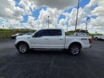 2019 F-150 Thumbnail 8