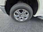 2019 F-150 Thumbnail 10