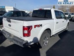2019 F-150 Thumbnail 4