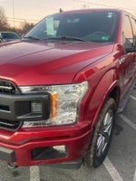 2019 F-150 Thumbnail 8