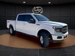 2019 F-150 Thumbnail 4