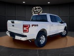 2019 F-150 Thumbnail 5
