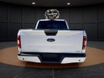 2019 F-150 Thumbnail 6