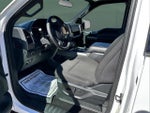 2019 F-150 Thumbnail 12