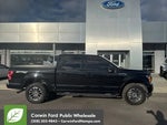 2019 F-150 Thumbnail 5