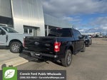 2019 F-150 Thumbnail 8
