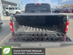 2019 F-150 Thumbnail 11