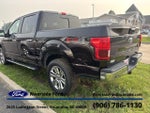 2020 F-150 Thumbnail 5
