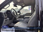 2020 F-150 Thumbnail 12