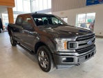 2020 F-150 Thumbnail 7
