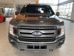 2020 F-150 Thumbnail 8