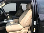 2019 F-150 Thumbnail 8