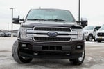 2019 F-150 Thumbnail 2