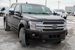 2019 F-150 Thumbnail 7
