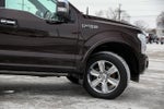 2019 F-150 Thumbnail 8