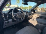 2019 F-150 Thumbnail 4